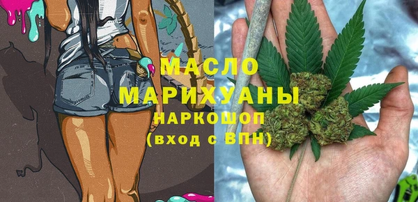 гидра Осинники