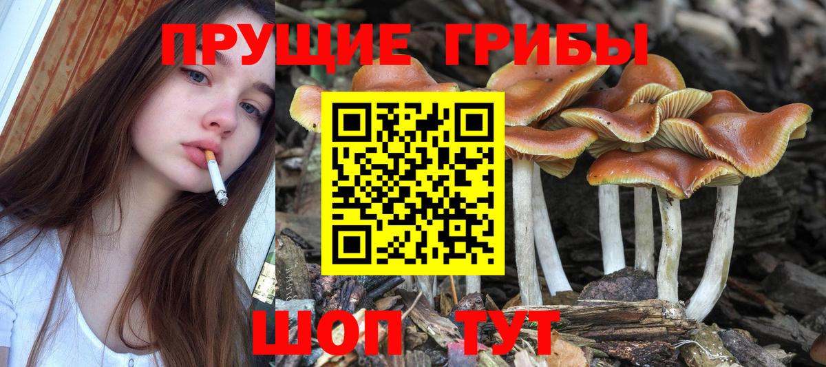 Галлюциногенные грибы Cubensis  Вход с VPN  Конаково 